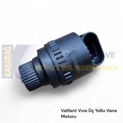 VAİLLANT VUW VANA MOTORU